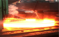 Sıcak Dövme Haddeleme / Paslanmaz Çelik Kovanlar DIN Standart 1.4401